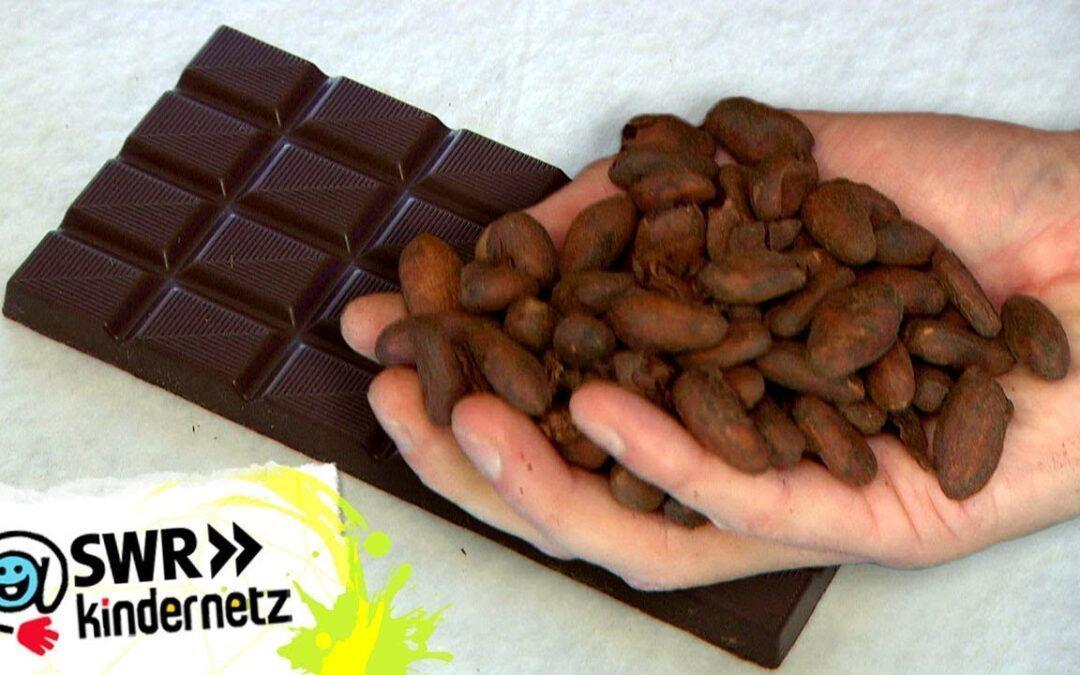Von der Bohne bis zur Tafel - Wie wird Schokolade hergestellt?  |  Tigerenten-Club |  SWR Kindernetz