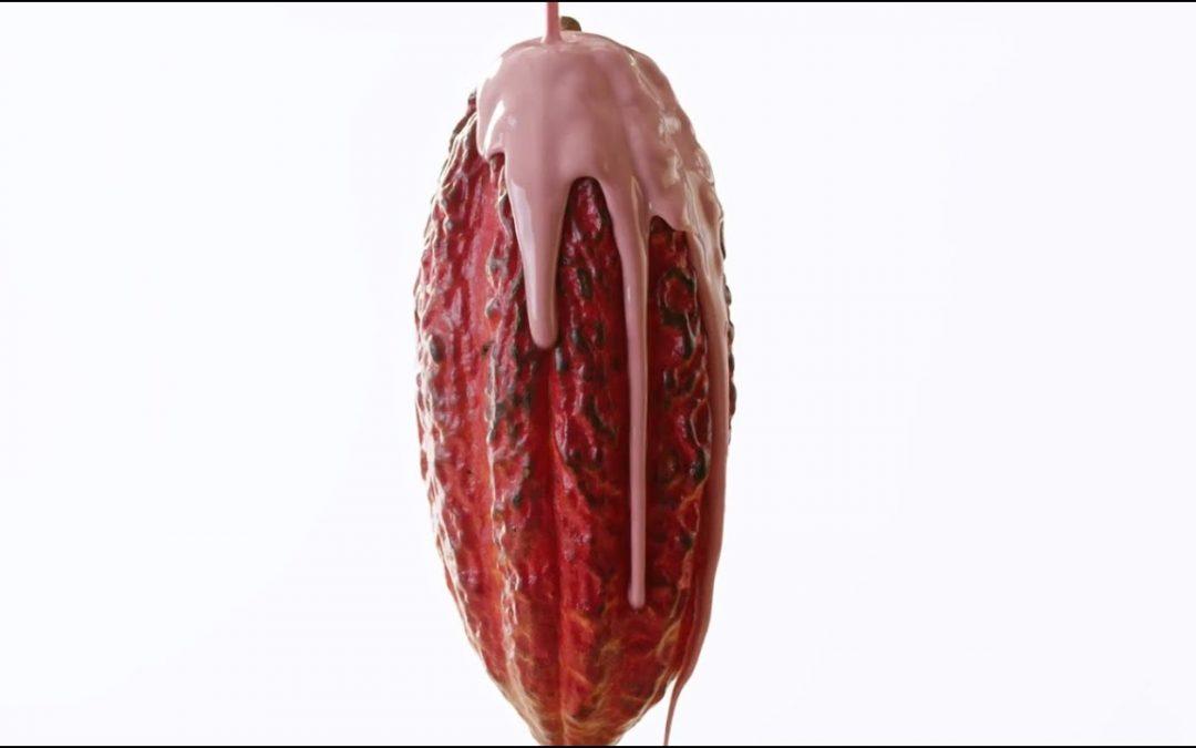 Ruby Chocolate: 1. Jahrestag |  Barry Callebaut