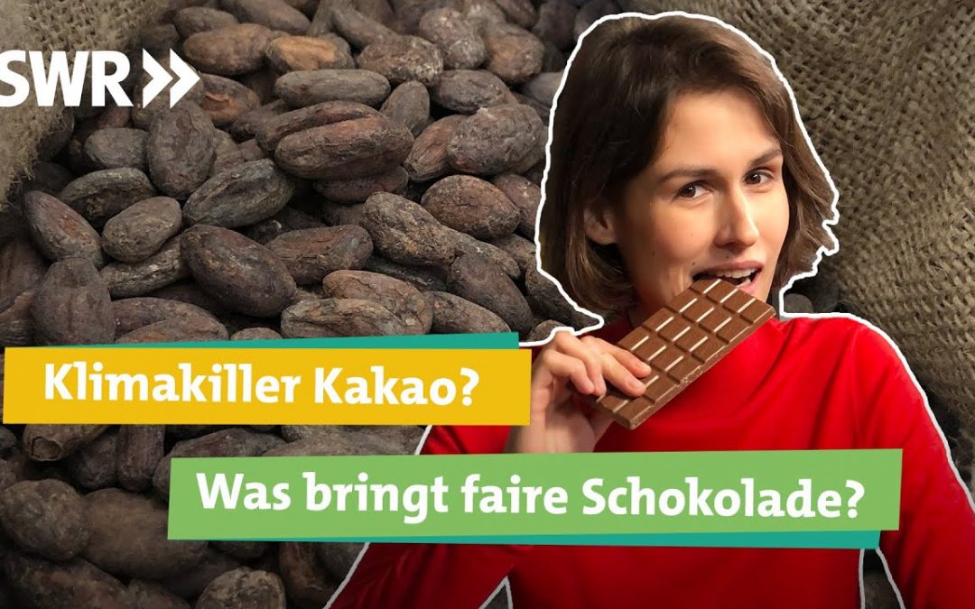 Kakao und Schokolade: Fairtrade oder Bio.  Nur teuer oder wirklich nachhaltig?  Ich Ökochecker SWR