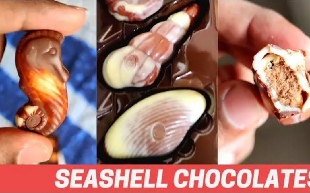 Muscheln Schokolade |  Guylian Belgische Schokolade |  #kurze Hose