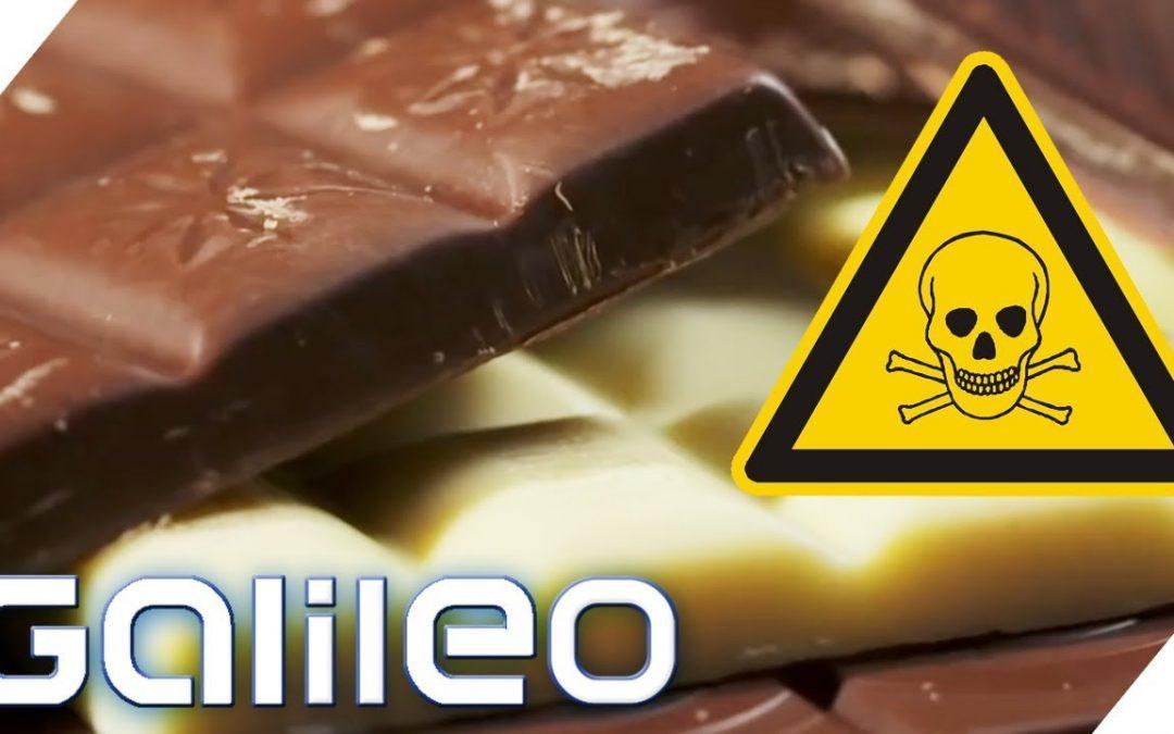 Schokolade kann tödlich sein!  5 Geheimnisse über Schokolade |  Galileo |  ProSieben