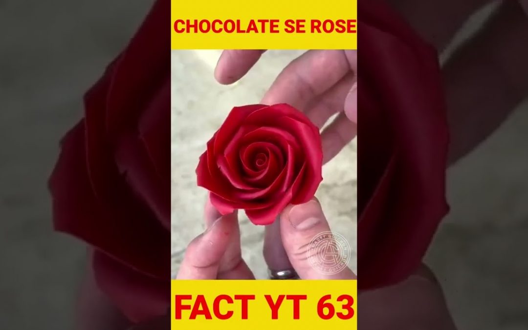 CHOCOLATE SE ROSE #chocolate #chocolatevideo #shortsvideos